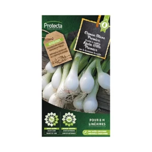 142 - Ajuin Witte Premier (ui)