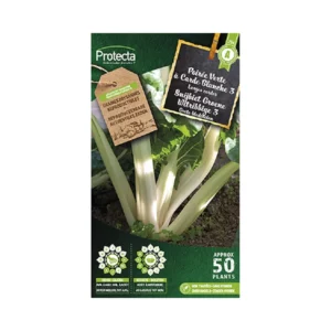 Snijbiet Groene Witribbige 3