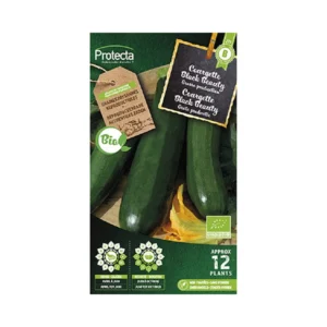 Courgette Black Beauty FR-BIO-15