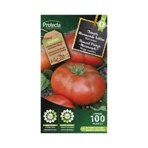 Tomaat Vroege Marmande
