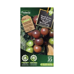 Tomaat Black Cherry
