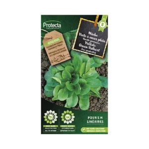 Veldsla Groen Volhart 3