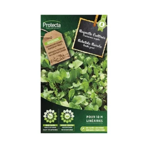 Raketsla Rucola