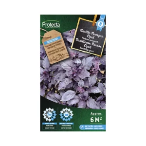 Basilicum Paarse Opal