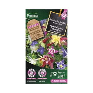 Akelei Garden Columbine